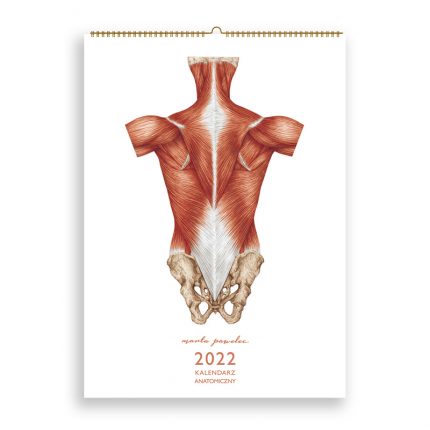 Kalendarz Anatomiczny 2022 okładka