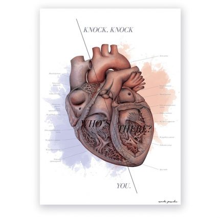 Plakat Anatomiczny - Budowa Serca - Knock&Knock