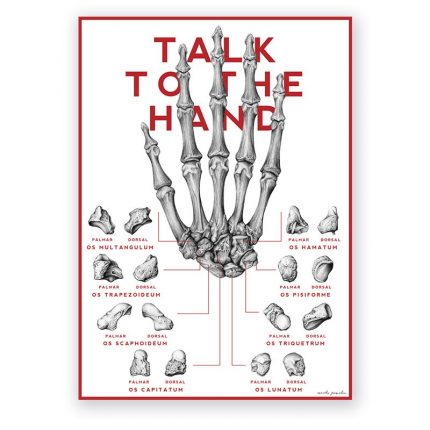 Plakat Anatomiczny - Kości Ręki - Talk To The Hand