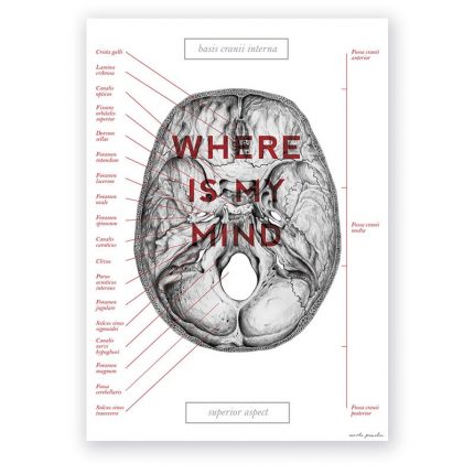 Plakat Anatomiczny - Podstawa Czaszki - Where Is My Mind
