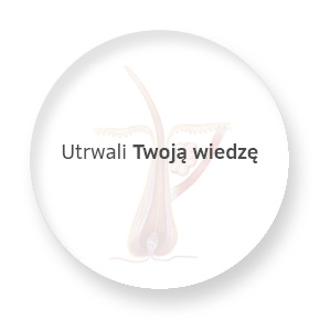 Info Pin2 Budowa Włosa