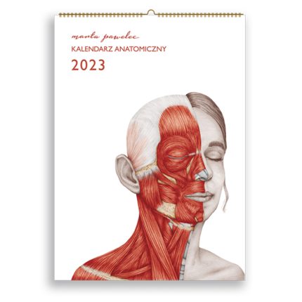 Kalendarz Anatomiczny 2023
