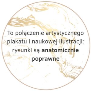 anatomicznie poprawne