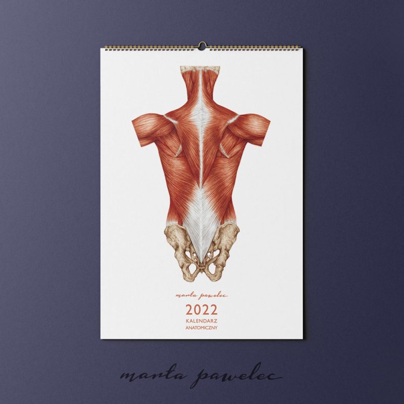 Free_Calendar_Mockup_1