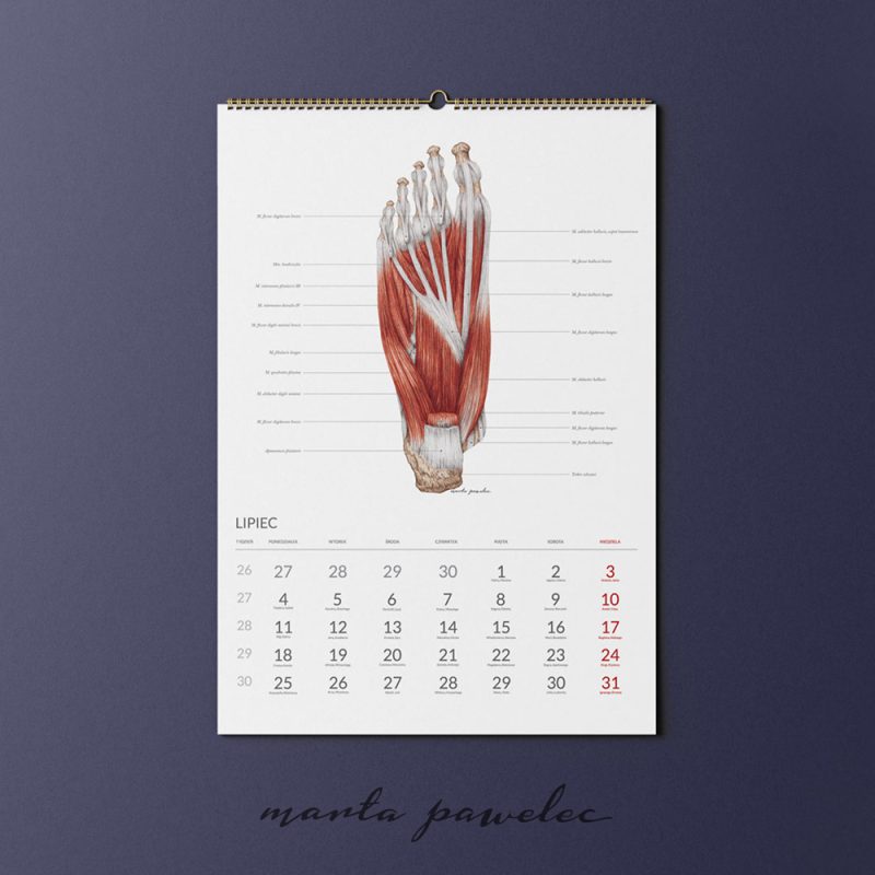 Free_Calendar_Mockup_10