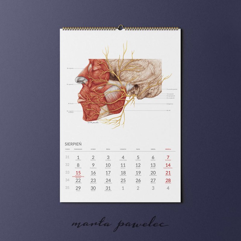 Free_Calendar_Mockup_11