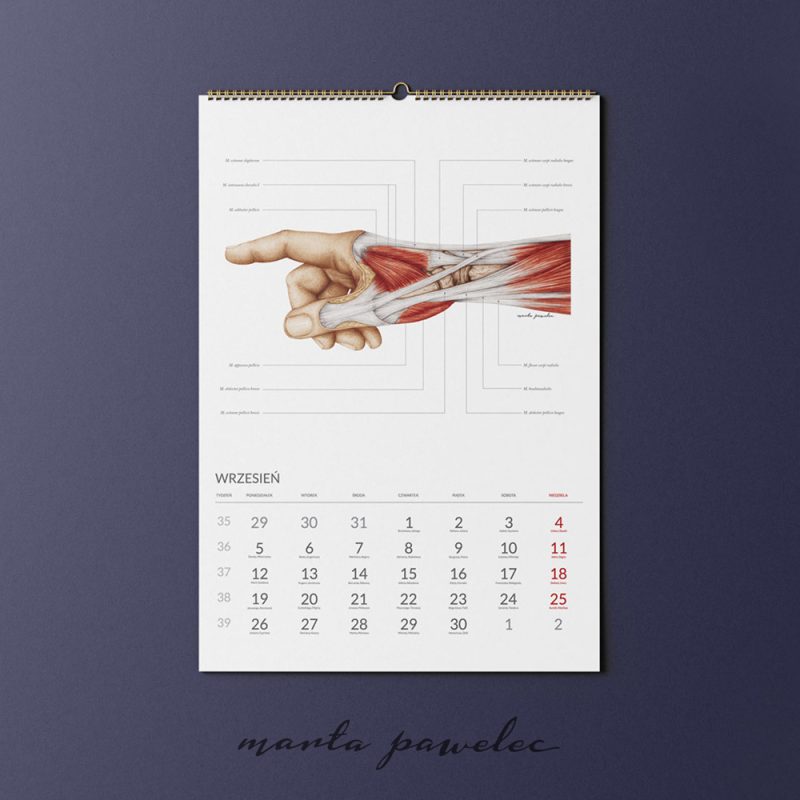 Free_Calendar_Mockup_12