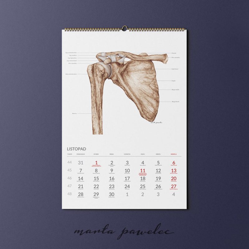 Free_Calendar_Mockup_14