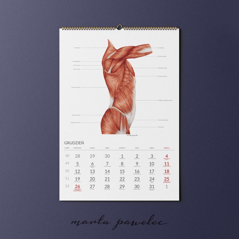 Free_Calendar_Mockup_15