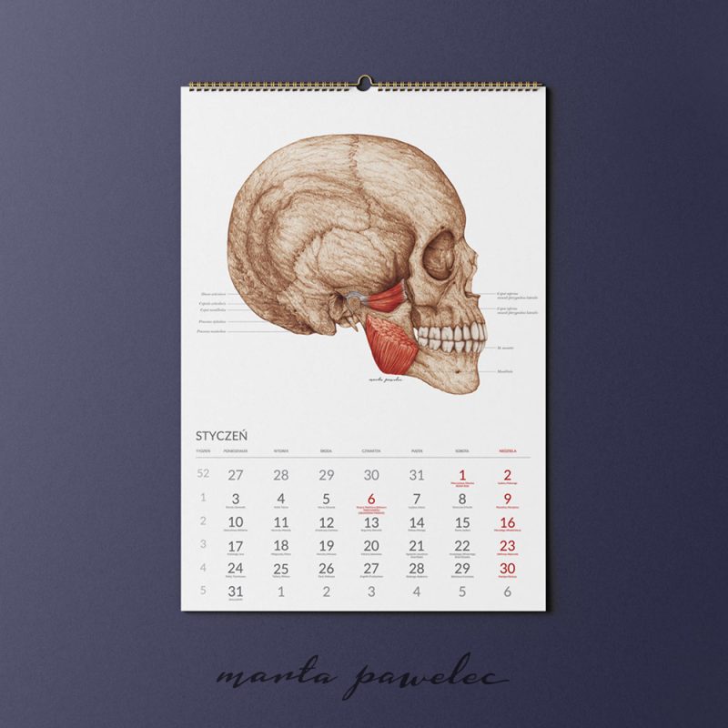 Free_Calendar_Mockup_2