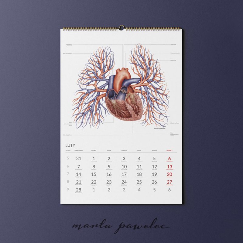 Free_Calendar_Mockup_5