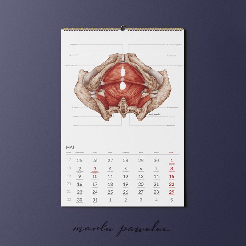 Free_Calendar_Mockup_8