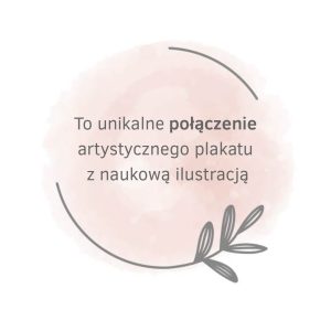 kółka3