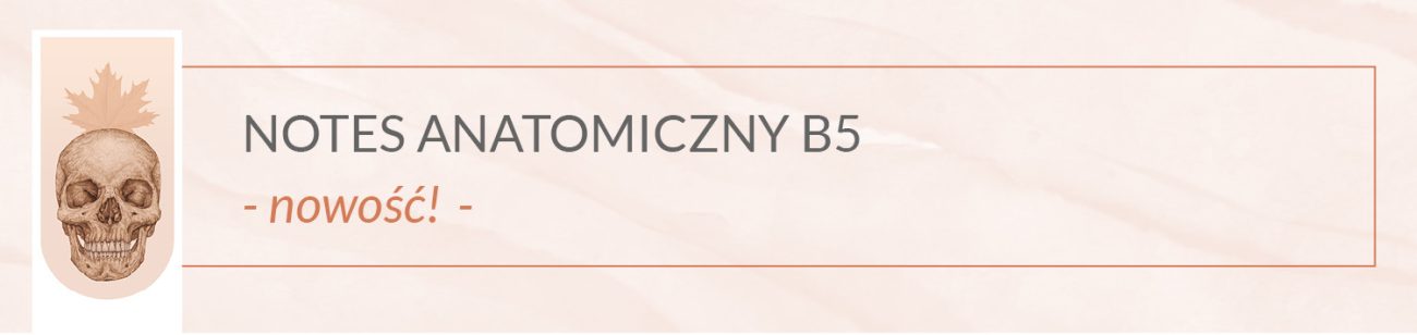 Notes Anatomiczny