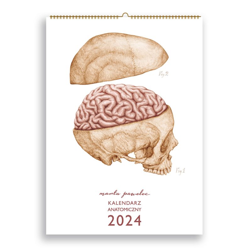 Kalendarz 2024