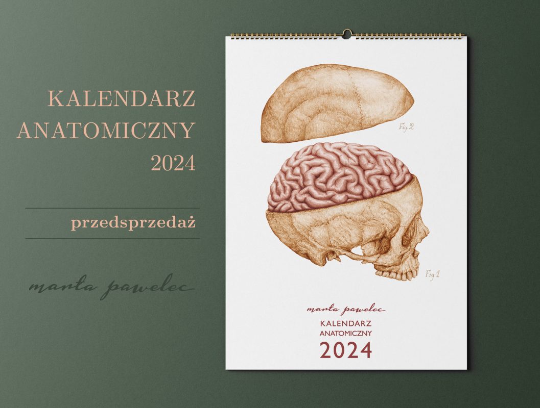 Kalendarz Anatomiczny 2024