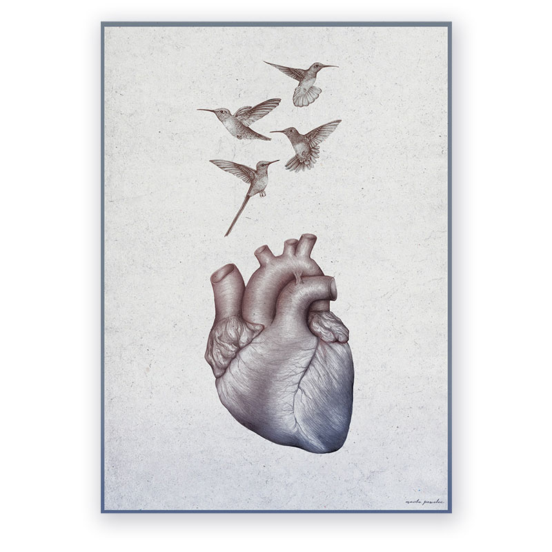 kolibry