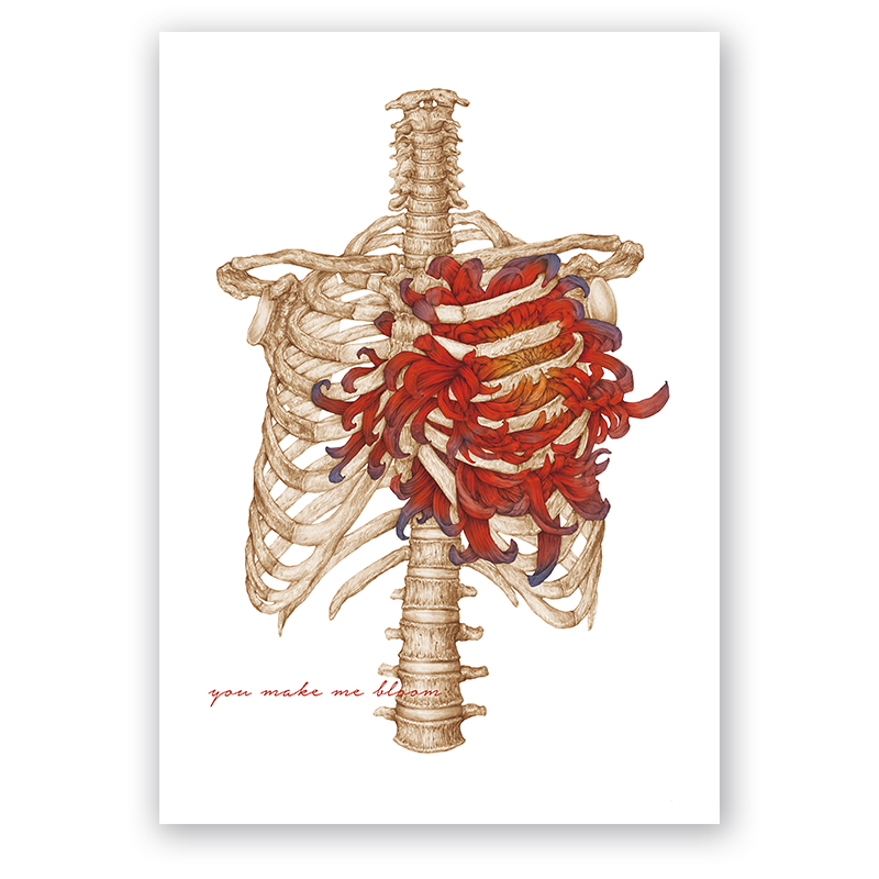 anatomiczna walentynka tło