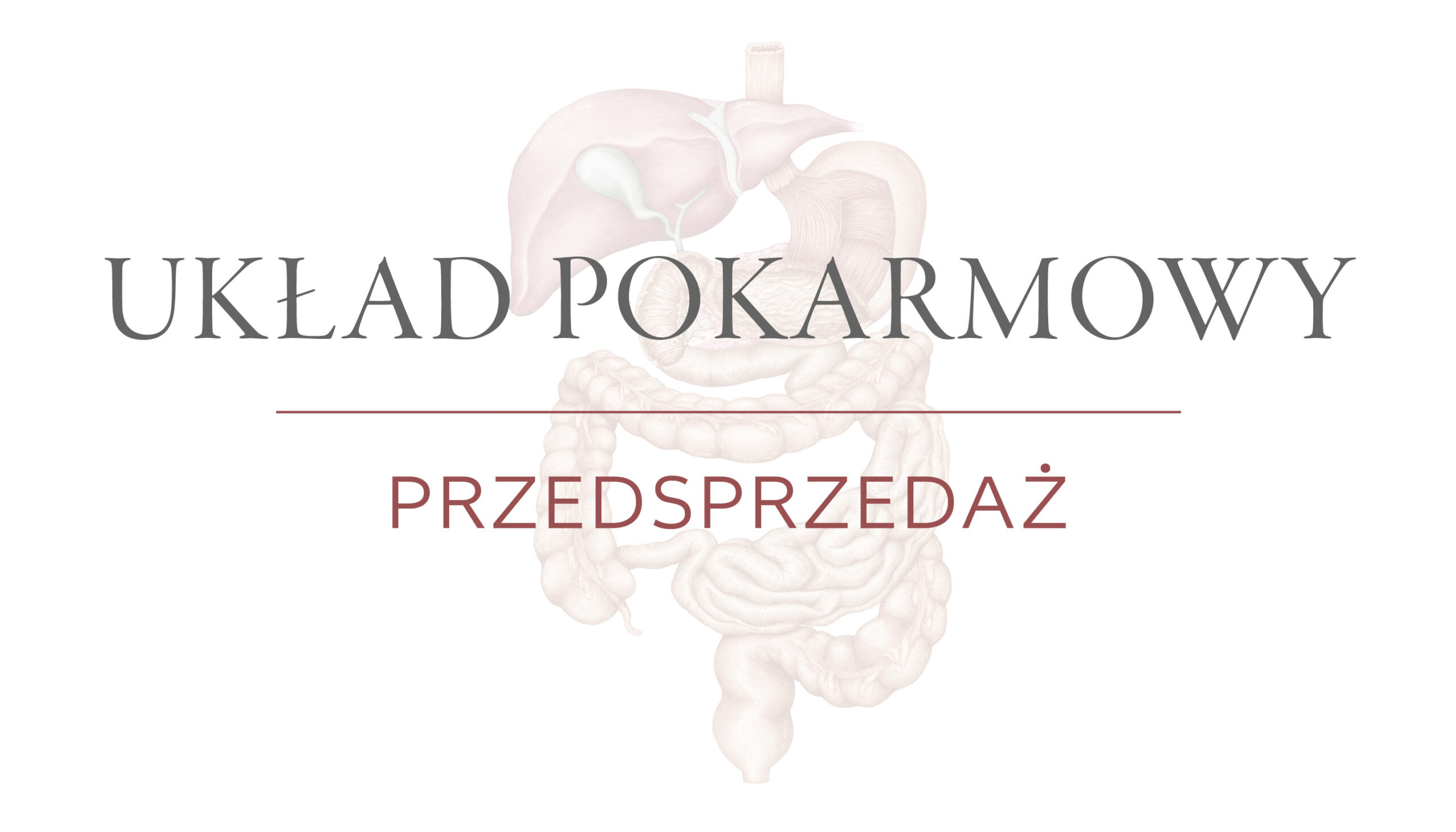 Układ Pokarmowy