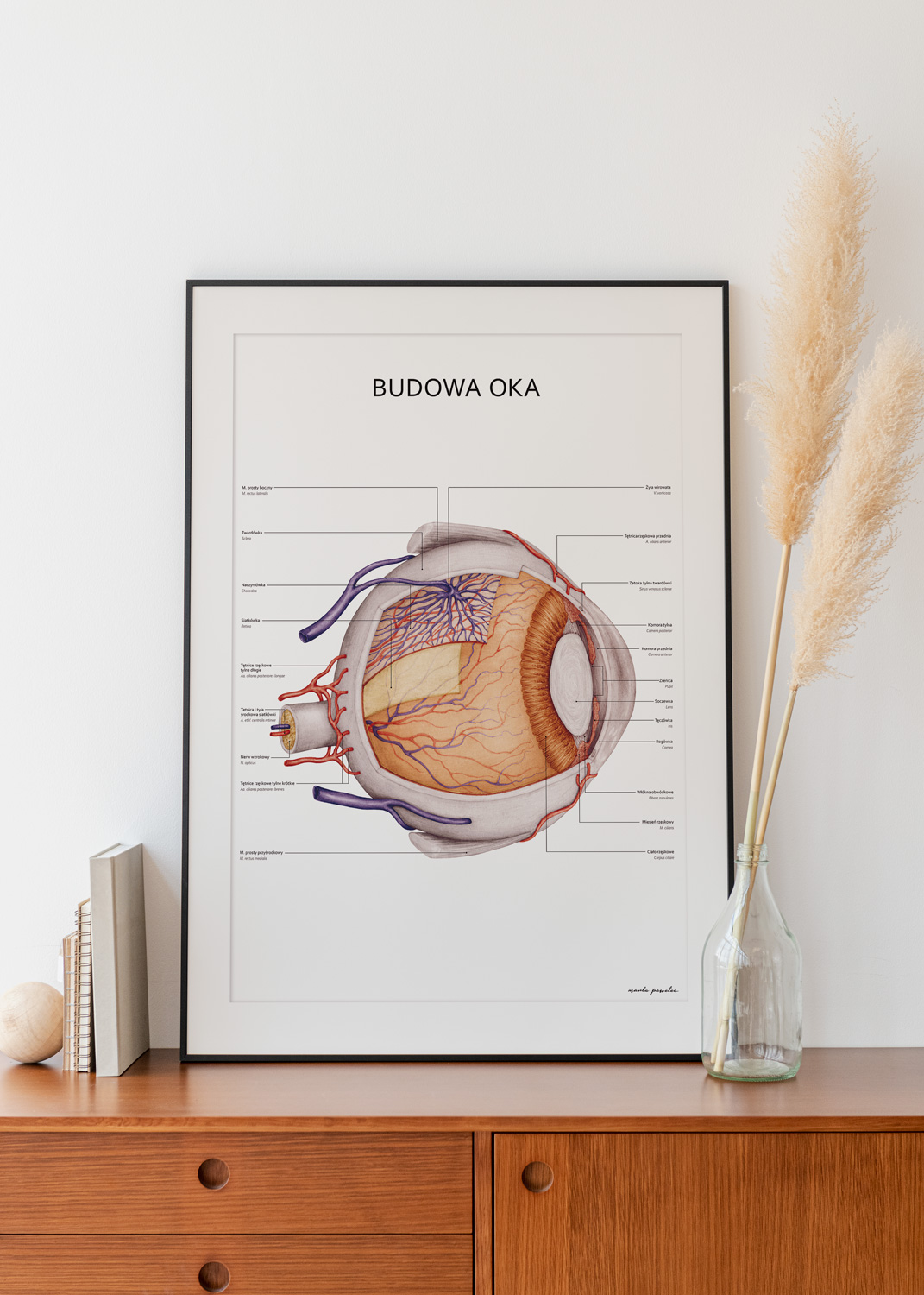 budowa oka rama z wazonem