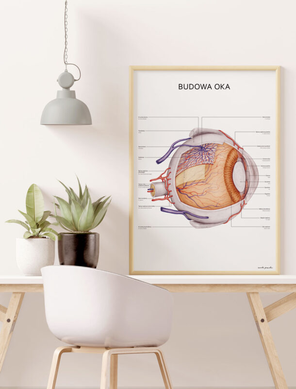 plakat oko w gabinecie