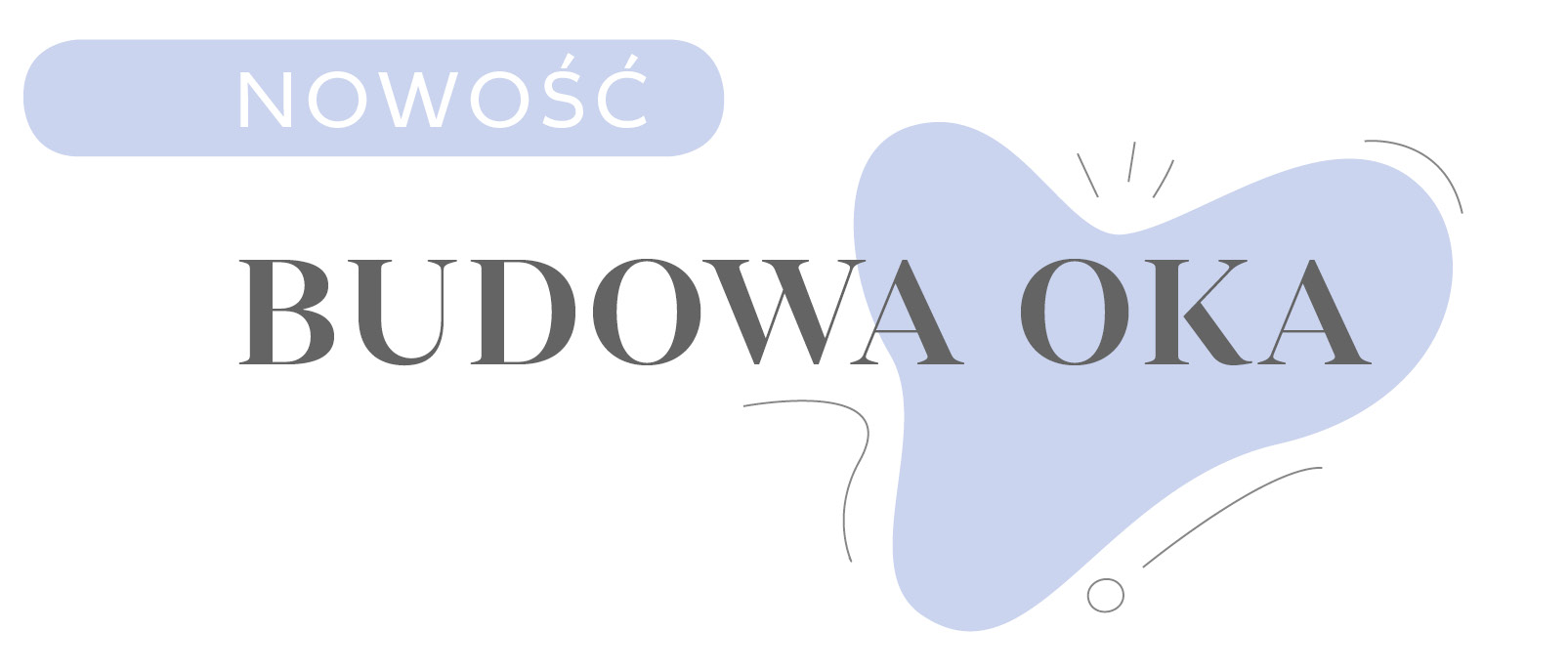 Budowa Oka