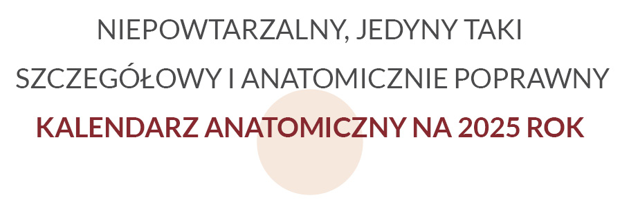 niepowtarzalny Kalendarz Anatomiczny rest