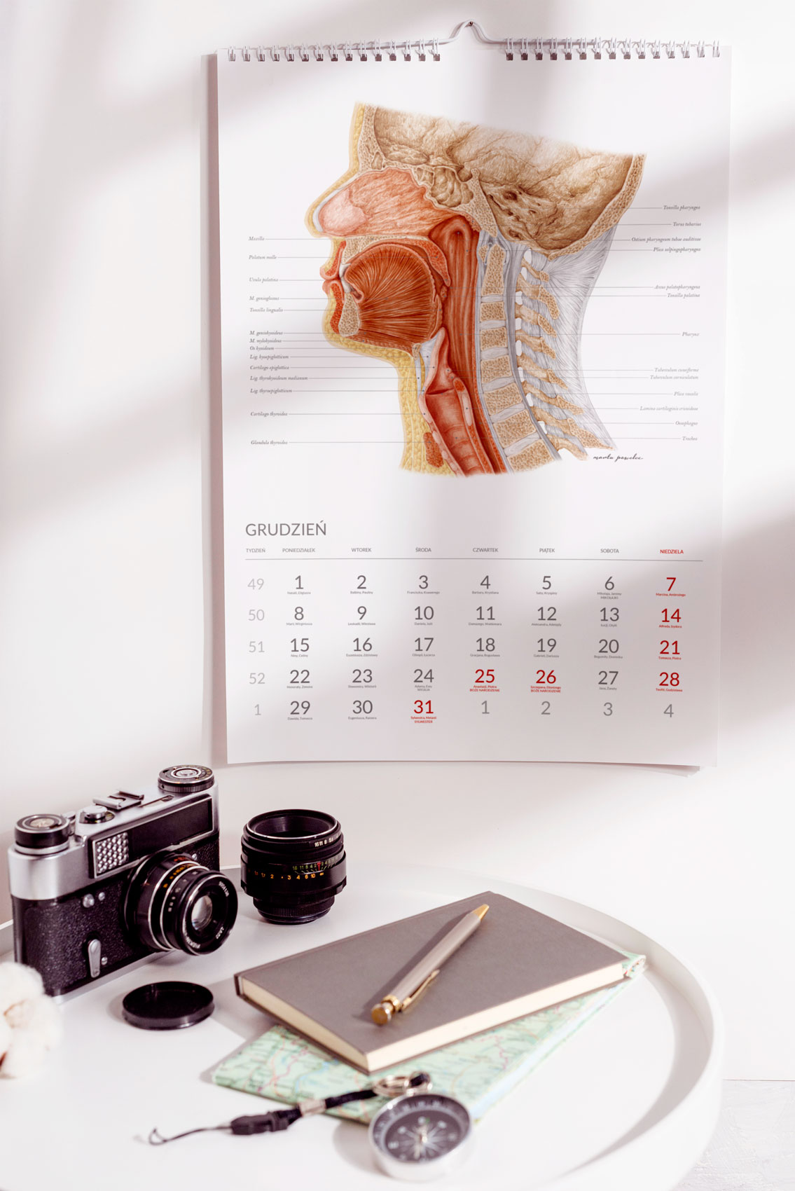 Kalendarz Anatomiczny 2025 Grudzień