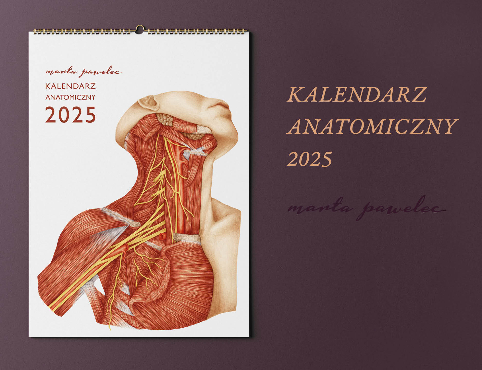 Kalendarz Anatomiczny 2025