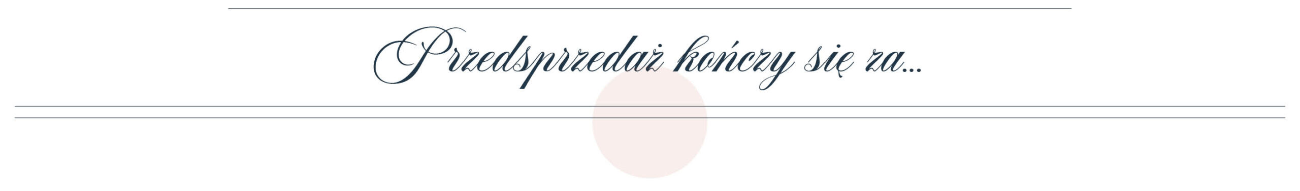 przedsprzedaż kończy się za...