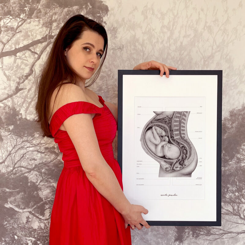 Plakat anatomiczny płód w 9 miesiącu ciąży