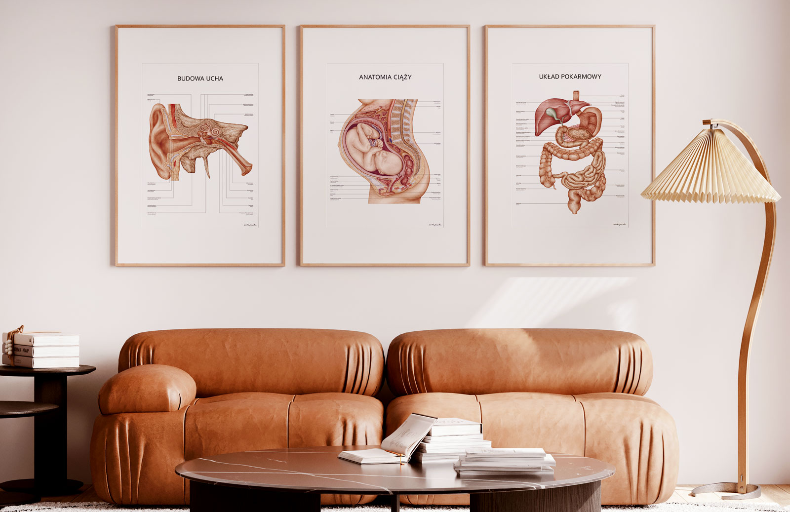 Specialist Anatomy