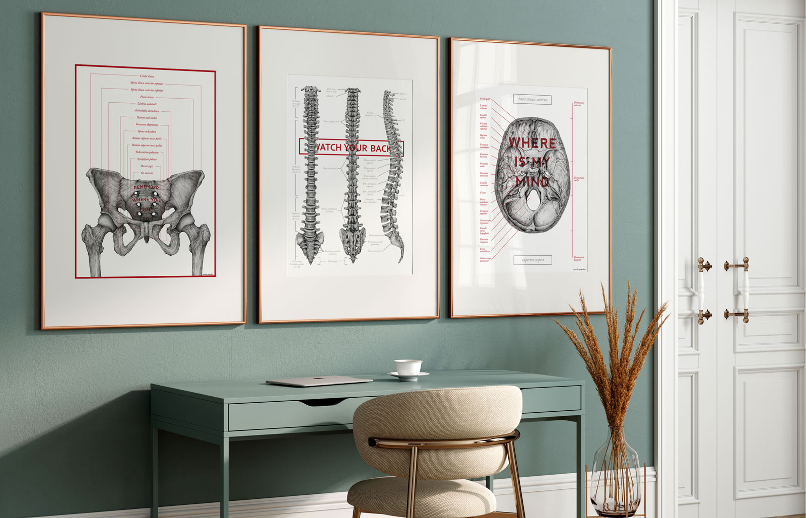 Designer Anatomy