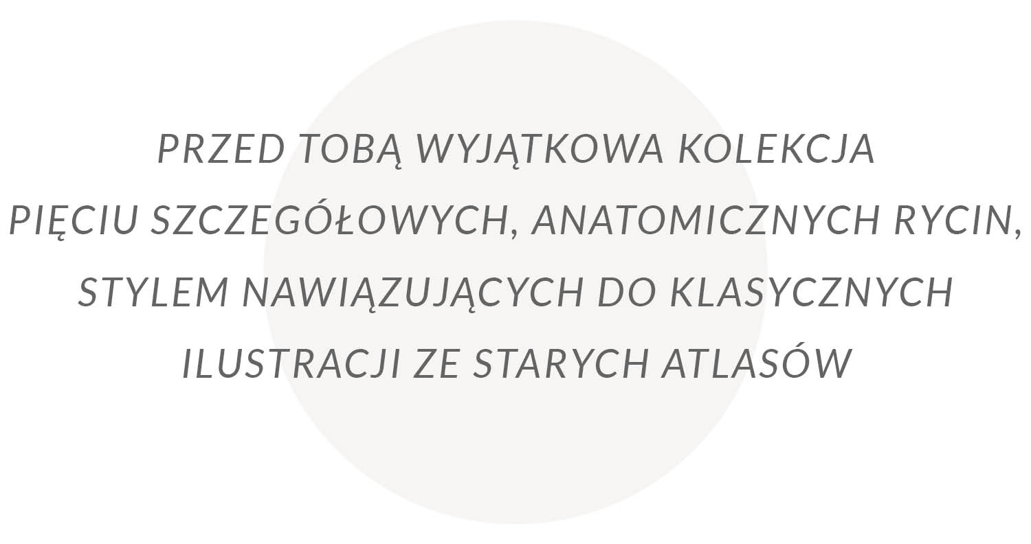 wyjątkowa kolekcja