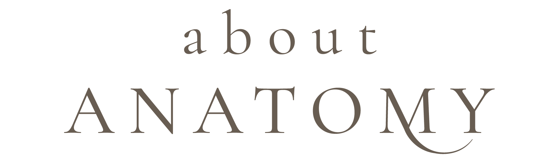 About Anatomy